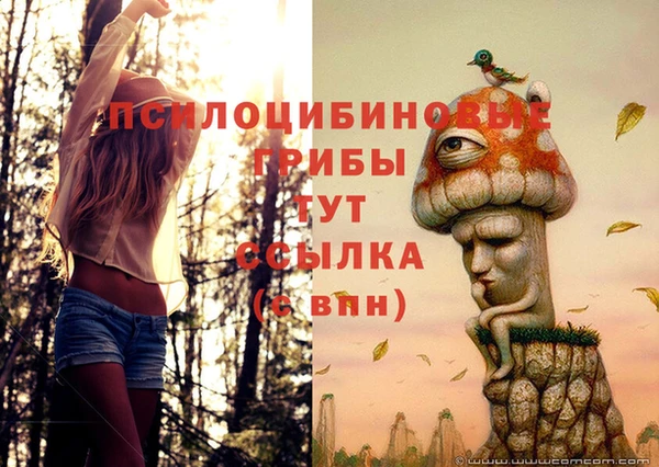 Альфа ПВП Бронницы