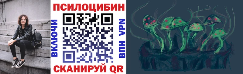 Псилоцибиновые грибы прущие грибы  Пятигорск 